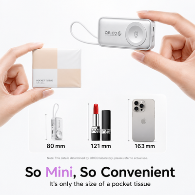 VoltPocket Charger®